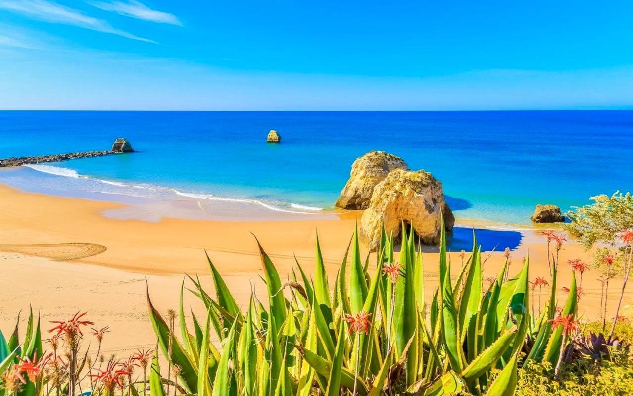 Paradise Sunshine Studio Portimao Exterior photo